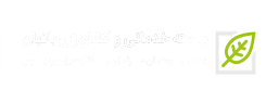آرمان توسعه نیوساد